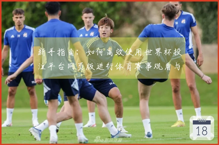 新手指南：如何高效使用世界杯投注平台网页版进行体育赛事观看与互动