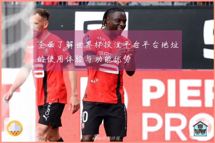 全面了解世界杯投注平台平台地址的使用体验与功能优势