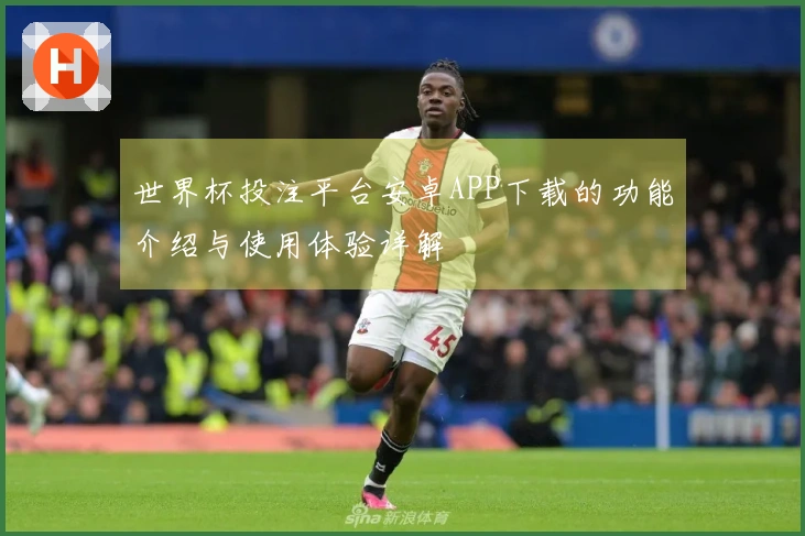 世界杯投注平台安卓APP下载的功能介绍与使用体验详解