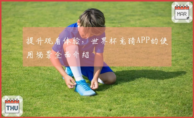 提升观看体验，世界杯竞猜APP的使用场景全面介绍