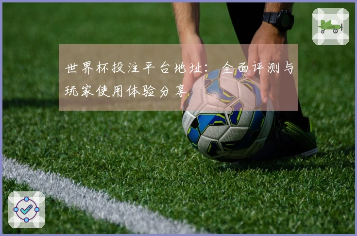 世界杯投注平台地址：全面评测与玩家使用体验分享