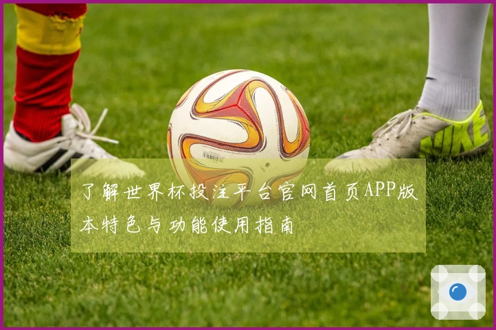 了解世界杯投注平台官网首页APP版本特色与功能使用指南