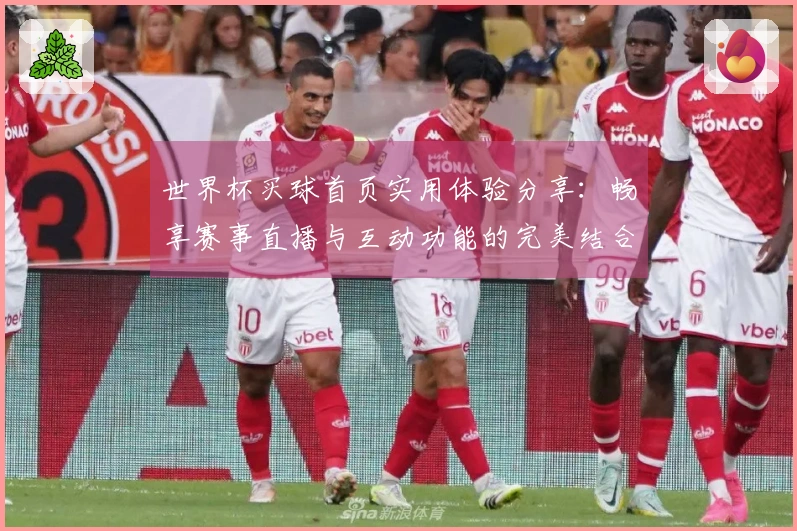 世界杯买球首页实用体验分享：畅享赛事直播与互动功能的完美结合