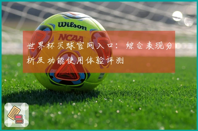 世界杯买球官网入口：综合表现分析及功能使用体验评测