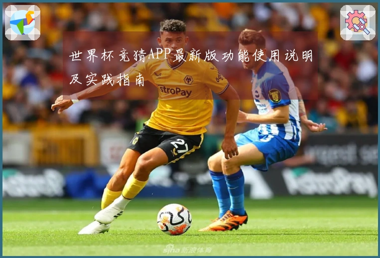 世界杯竞猜APP最新版功能使用说明及实践指南