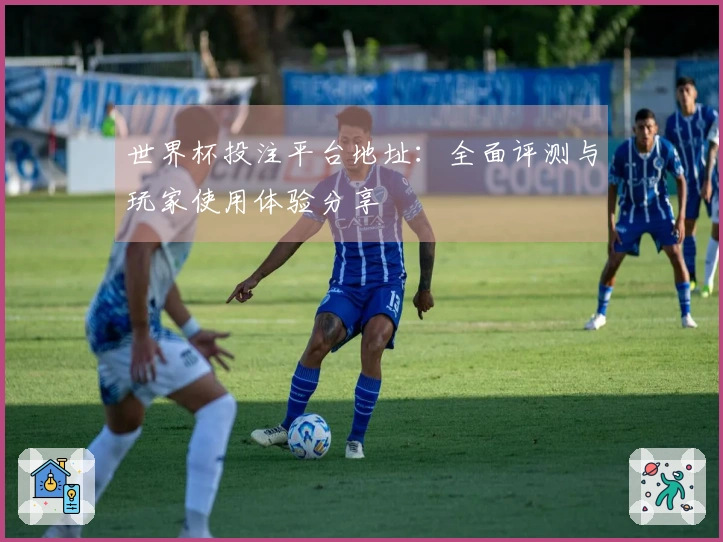 世界杯投注平台地址：全面评测与玩家使用体验分享